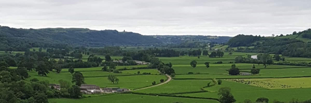 Eilirjones1's profile banner image