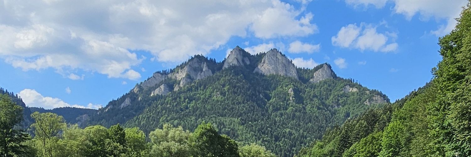 Dominik Tryniecki banner