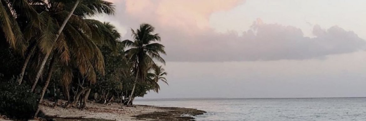 krissyava's profile banner image