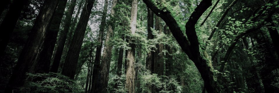 Part_Of_World_'s profile banner image