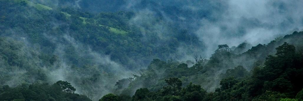 ಶೇಷಾದ್ರಿ ಕೆ ಎಸ್| Seshadri K S banner