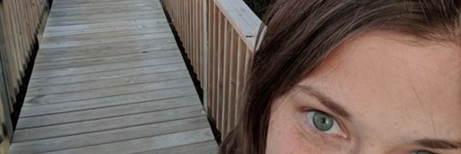 BigBrauner's profile banner image