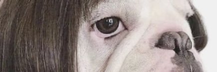 Fatsoface's profile banner image