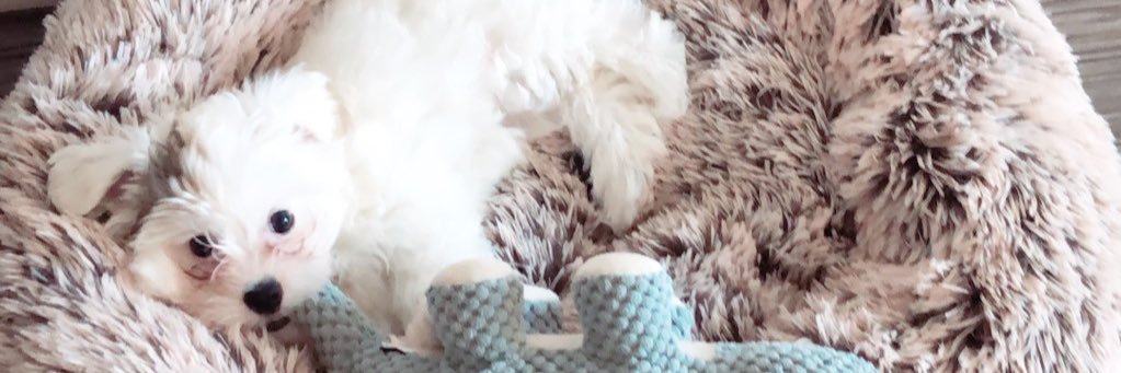 natalieeedaviss's profile banner image