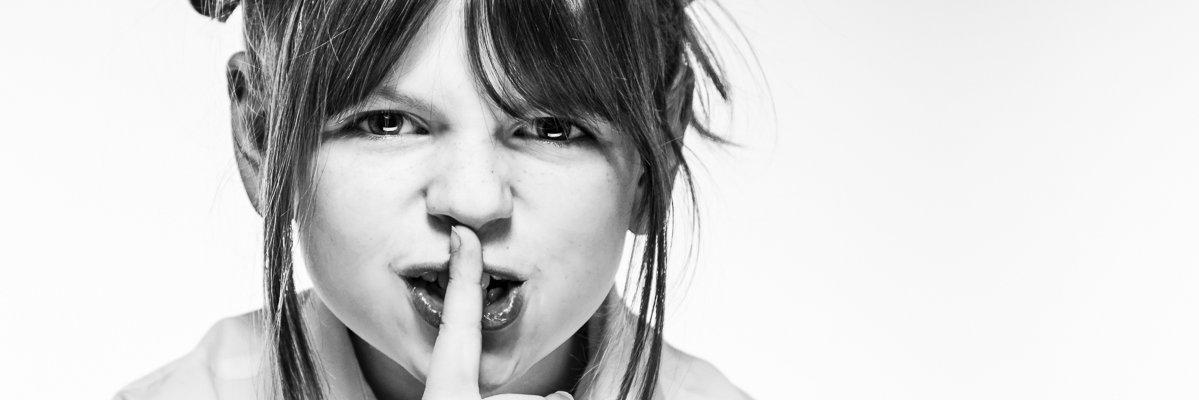 Lisa G Photography banner