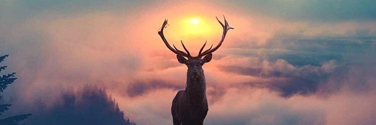 Justdebating's profile banner image