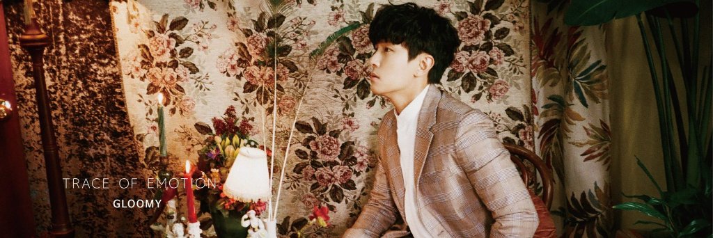 vivi🦌🌻🌰💐 banner