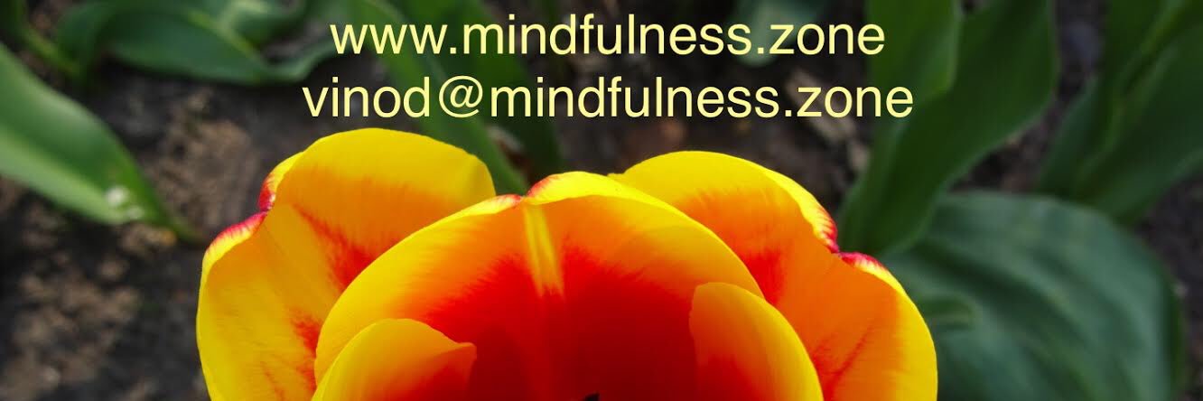 mindfulnesszone's profile banner image
