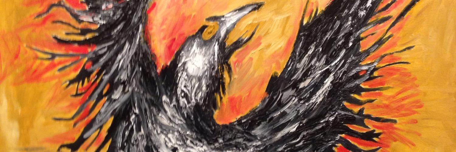 drongo banner