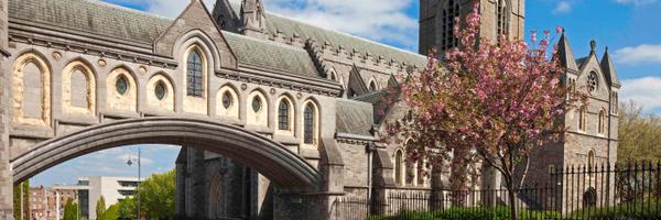 GroupMIreland Profile Banner