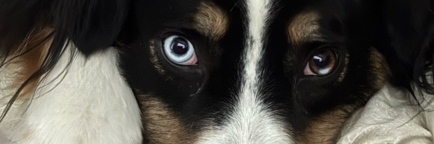 MaddKayPobo's profile banner image