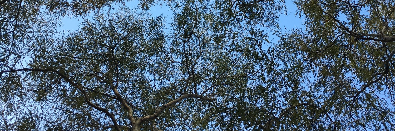 Adam Tapley, MD banner