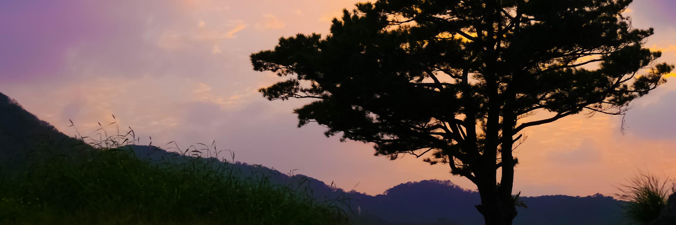 ZoFTn's profile banner image
