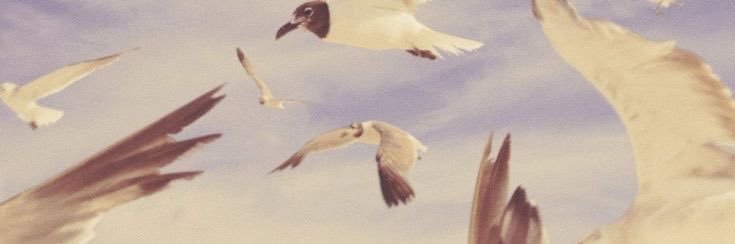 107SWIFT's profile banner image