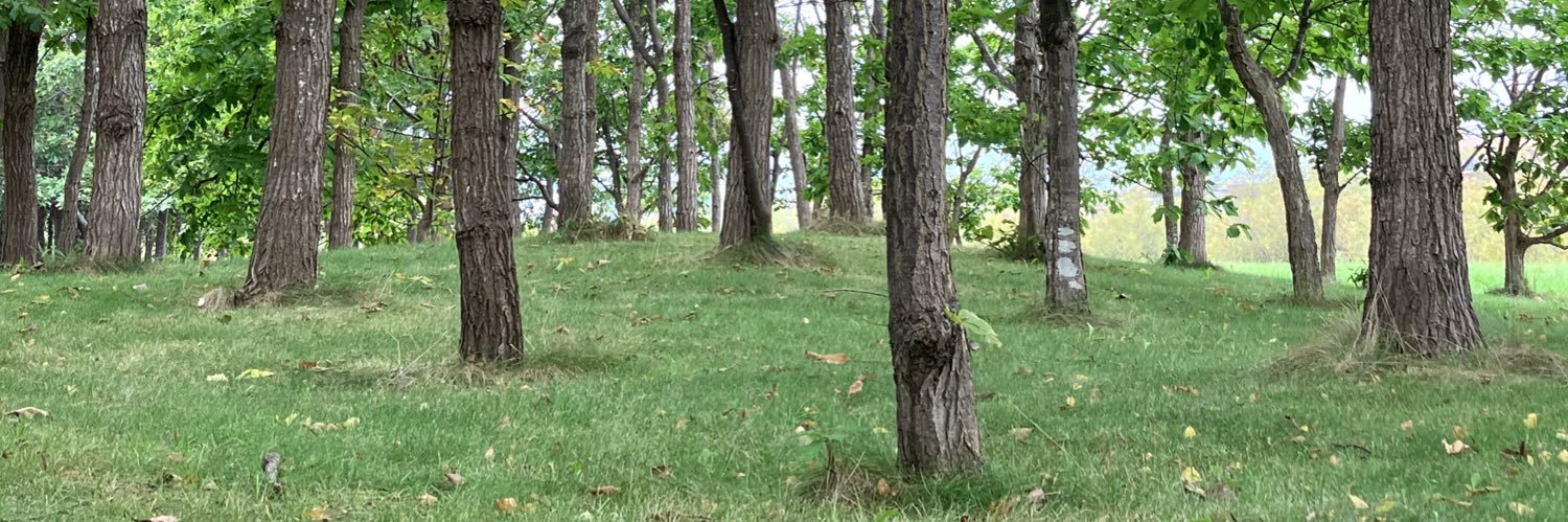 OAk （テングの鬼） banner
