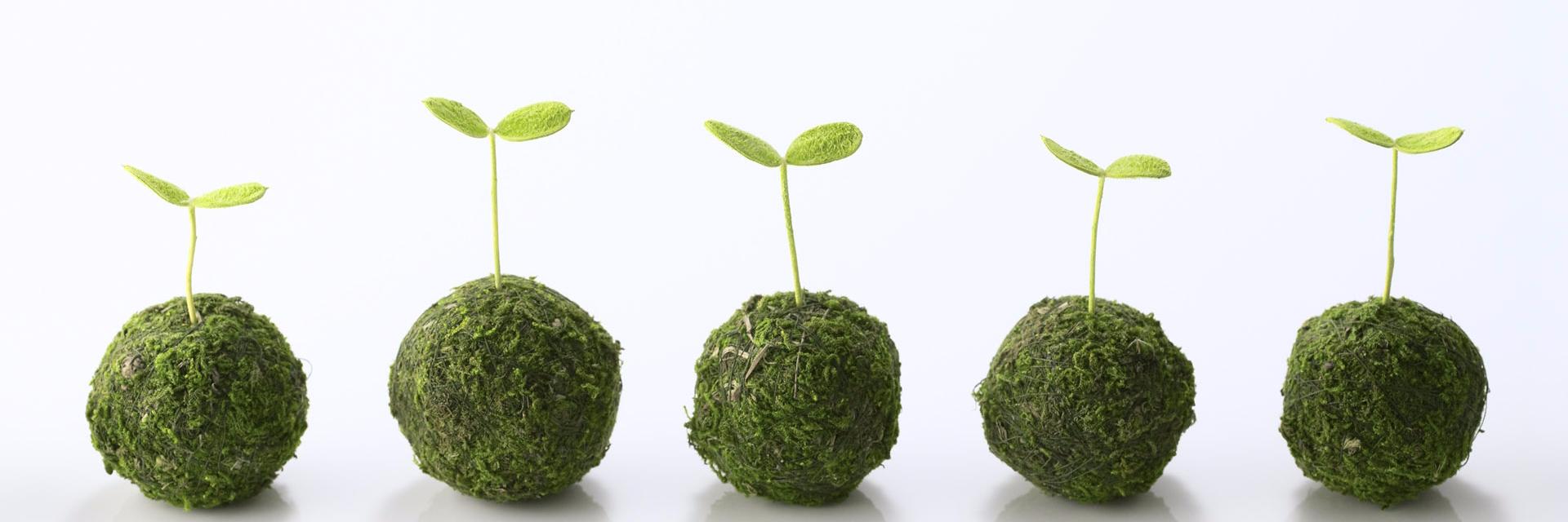 GreeningHotels's profile banner image