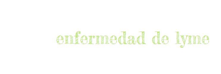 lyme_es's profile banner image