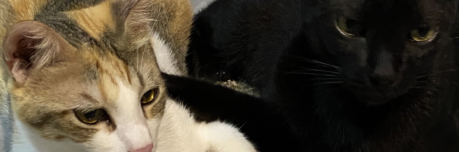 maxiveee's profile banner image