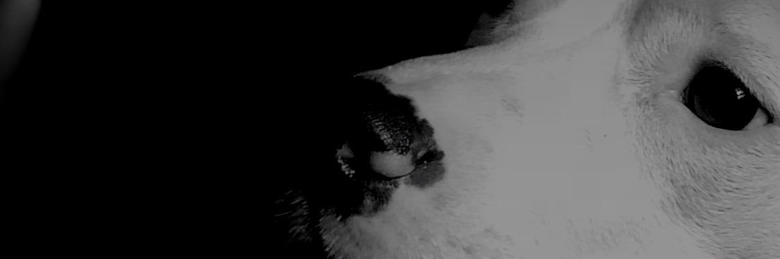 JohnFrmKeyboard's profile banner image