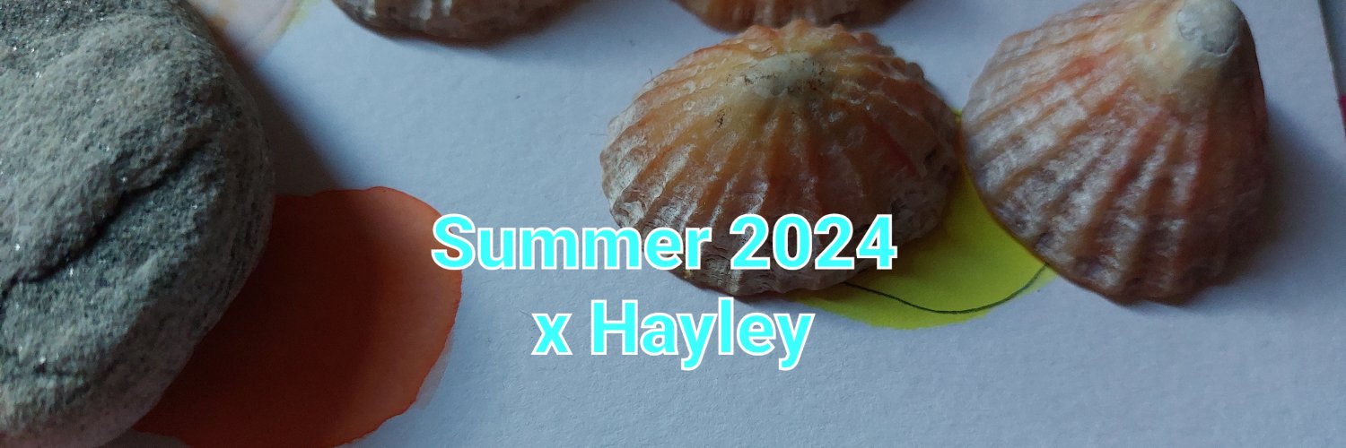 Hayley Edwards banner