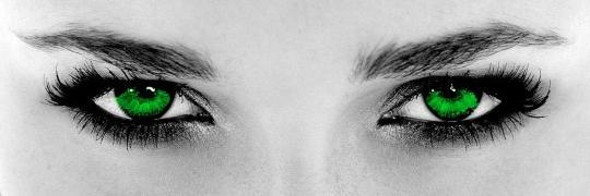 green eyed banner