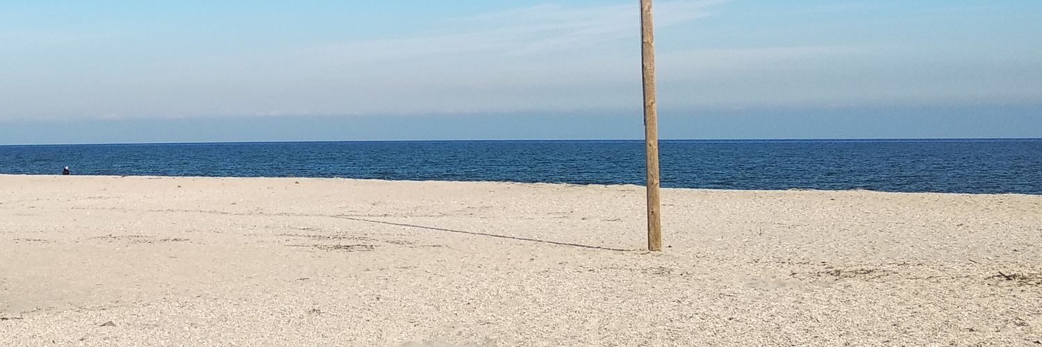 Francesca Olivieri banner