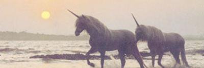 lyelhsa's profile banner image