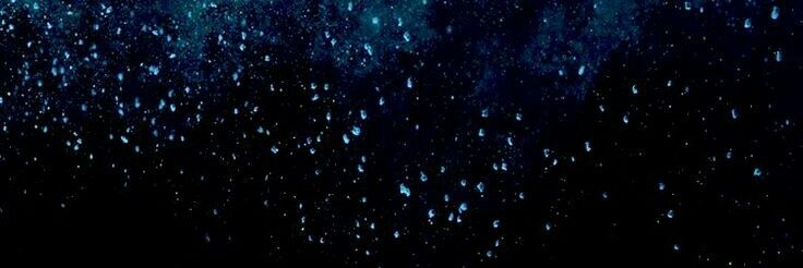 sofiaconte17's profile banner image