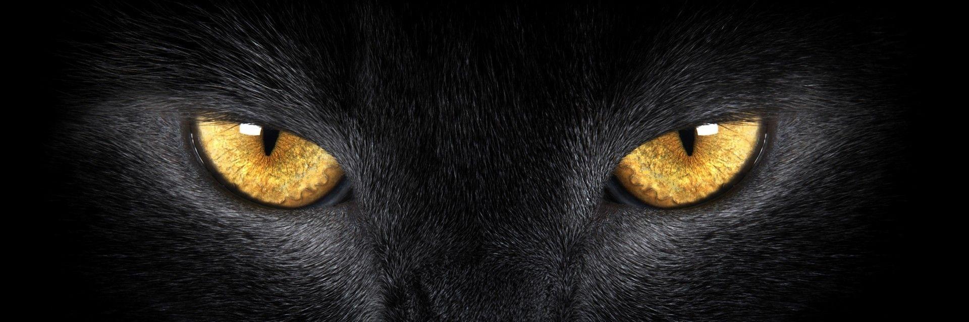 JonDcst's profile banner image