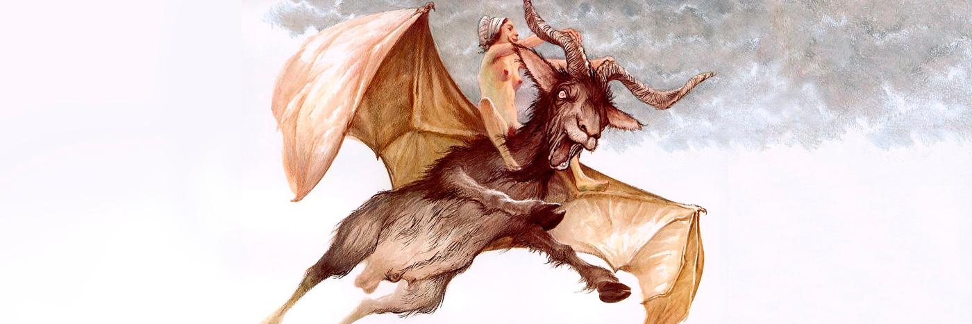 wardoghiggins's profile banner image
