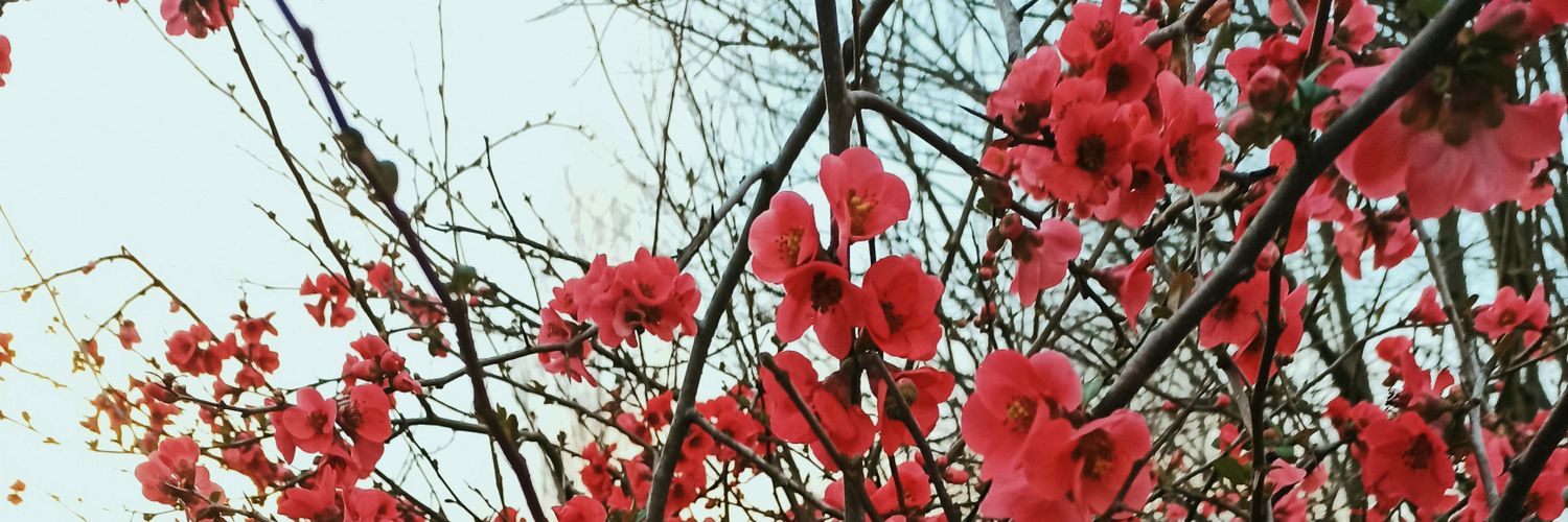 Maite Berriozabal Berrizbeitia banner