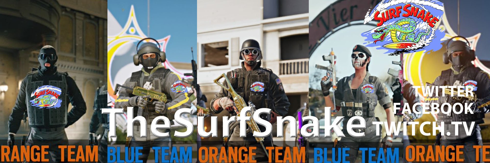 Surf Snake banner