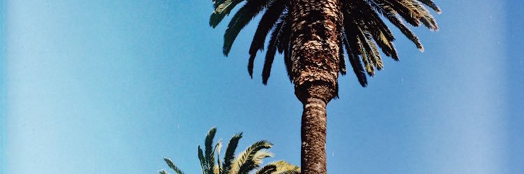 jpradolove's profile banner image