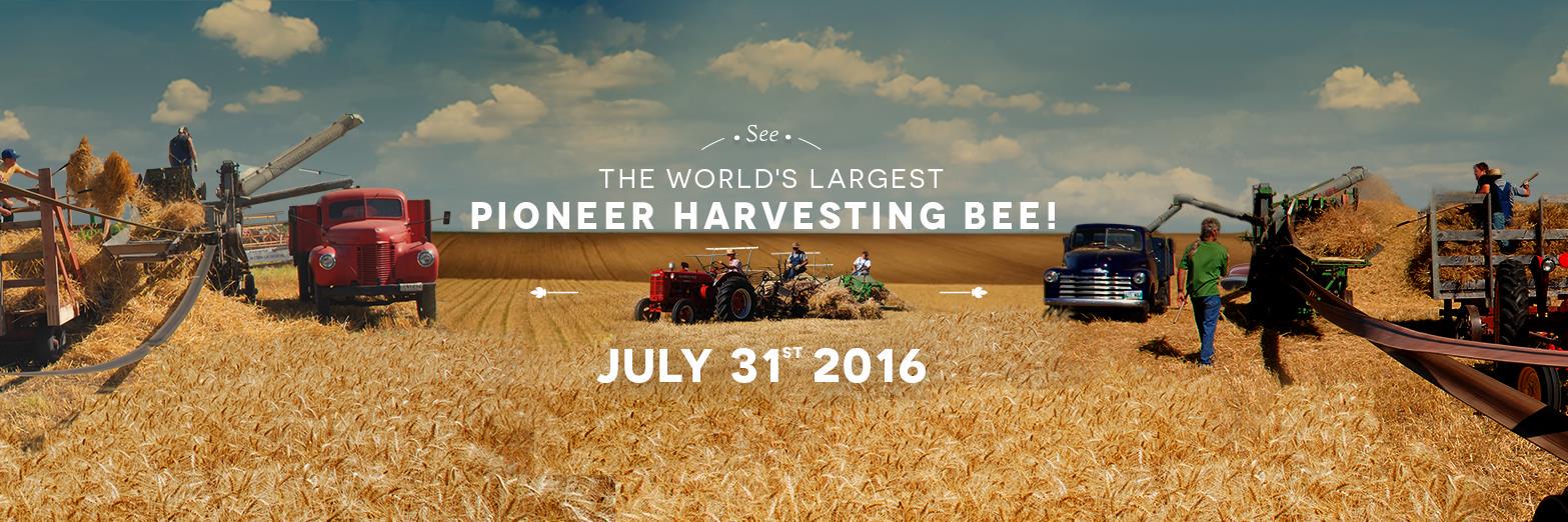HarvestHope2016's profile banner image