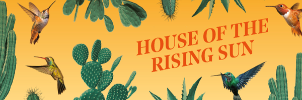 perchbelfast Profile Banner