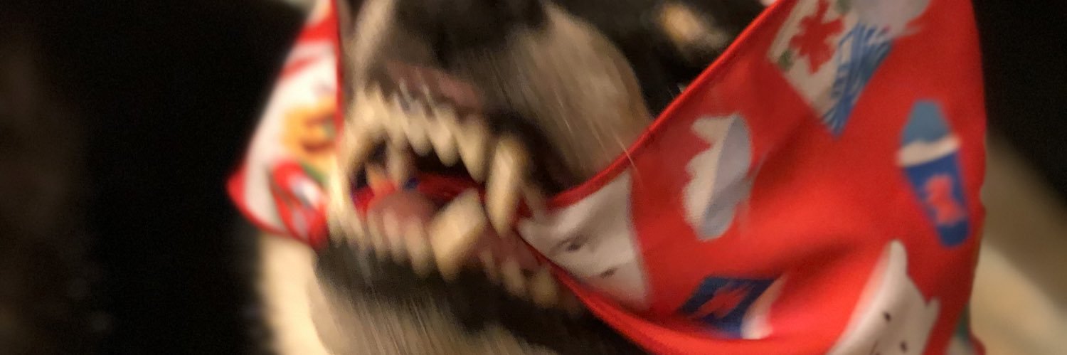 ur1ur1_'s profile banner image