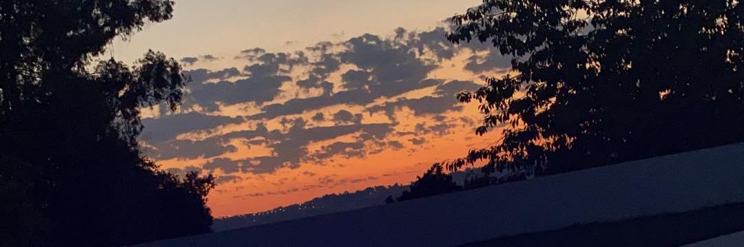 Helena_txa's profile banner image