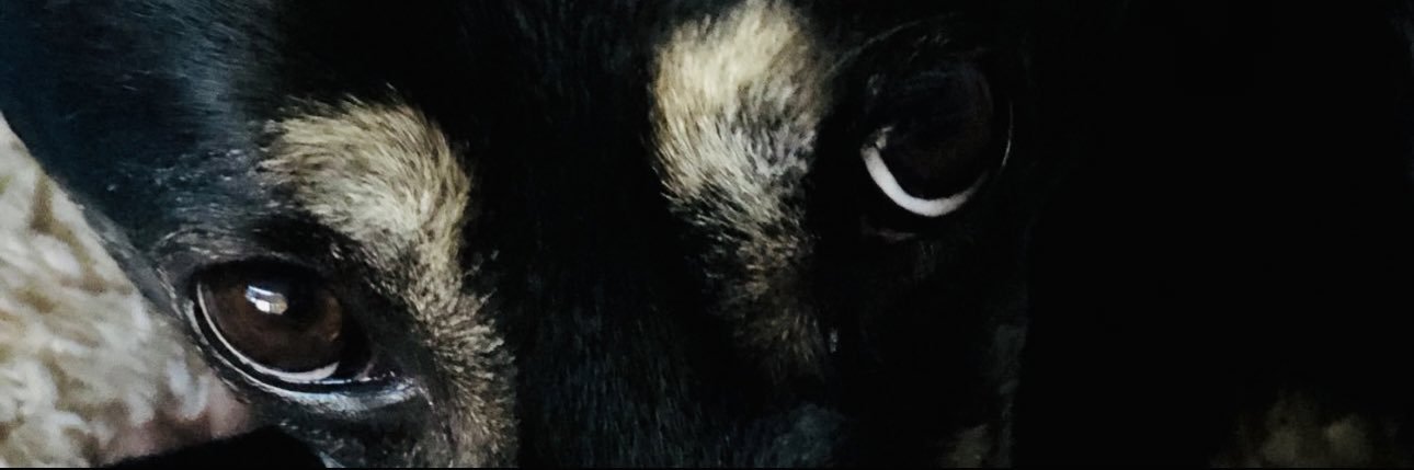xman1309's profile banner image