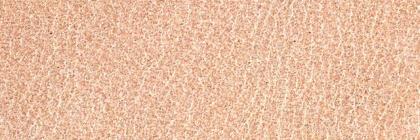 phantom3217's profile banner image