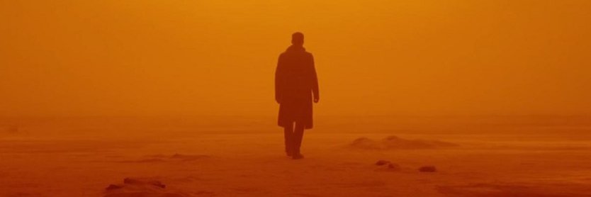David Erwin banner