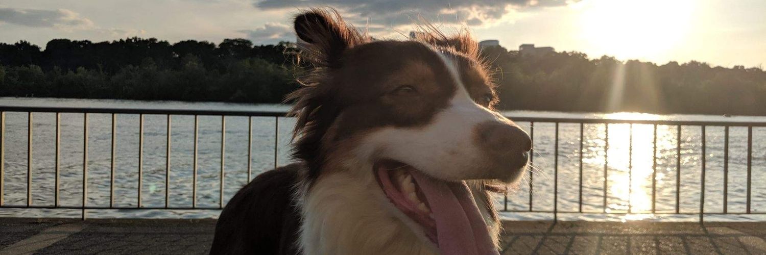 ErinK24's profile banner image