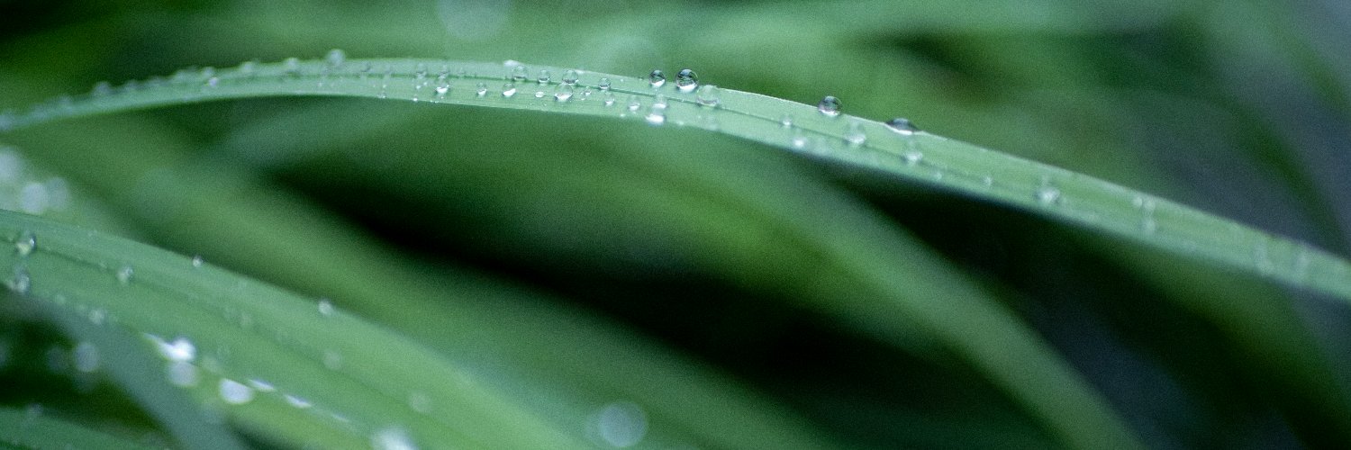 Bach_Da_Hanh's profile banner image