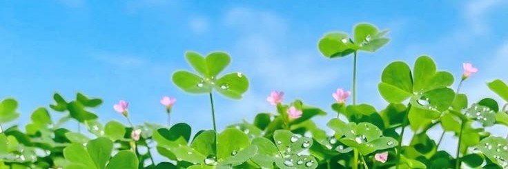haihani55's profile banner image