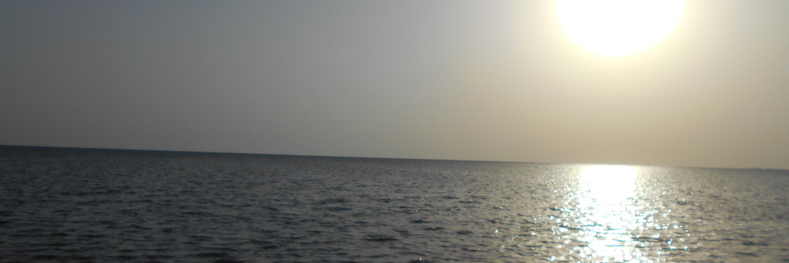 Mohailam_'s profile banner image