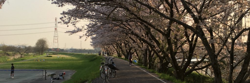 maeda678's profile banner image