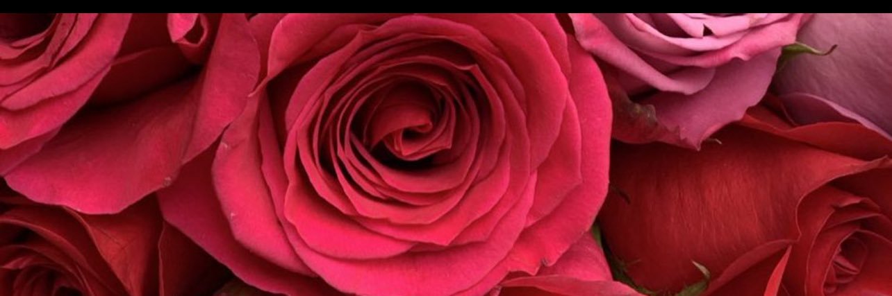 legitnini's profile banner image