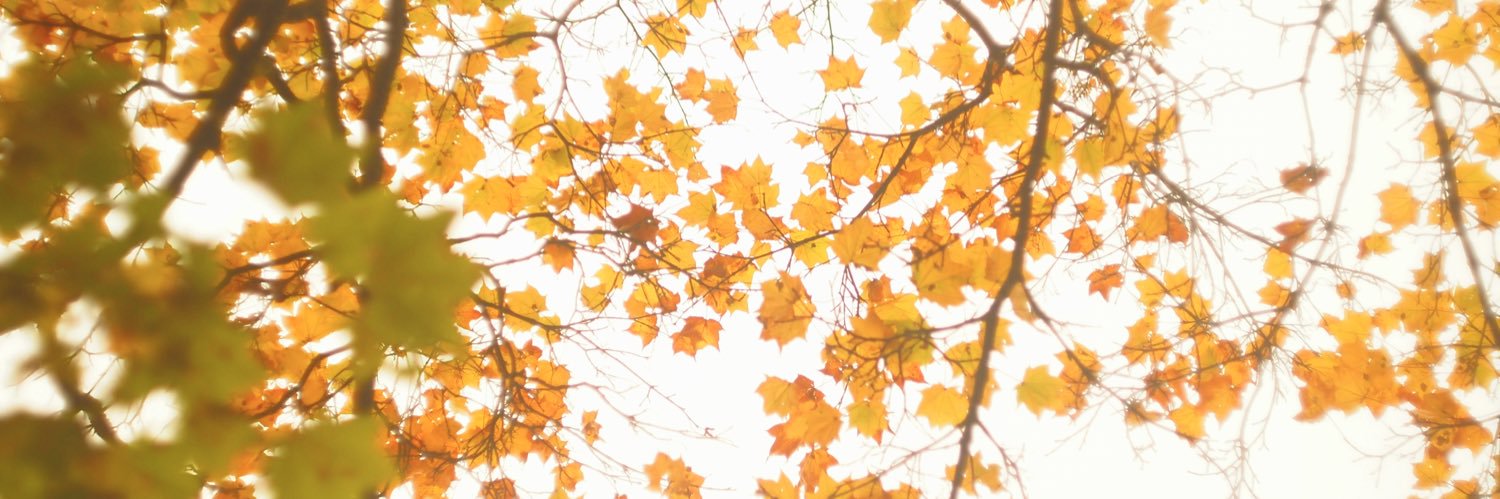ntnt_mng's profile banner image