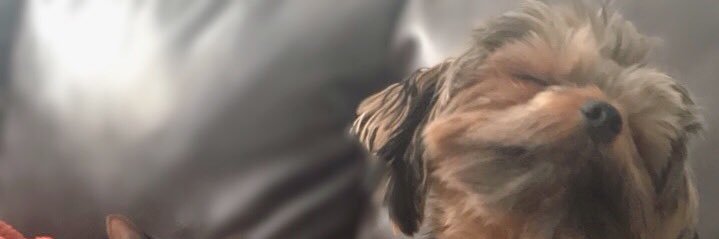 cjyager's profile banner image
