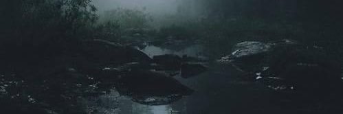alliemclemore's profile banner image