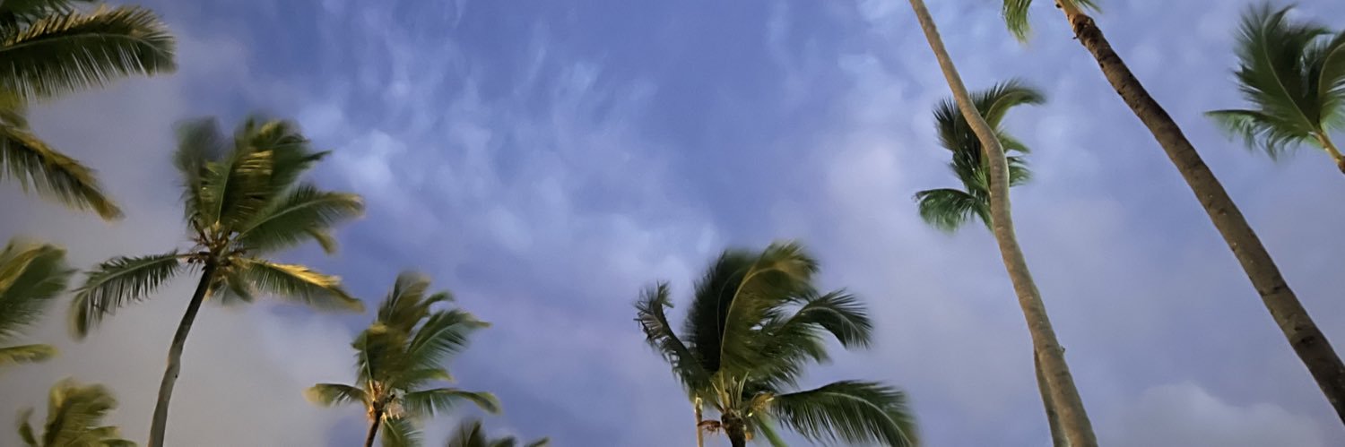 brvndss's profile banner image